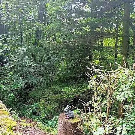 Chata Eva Lodge Chrastava