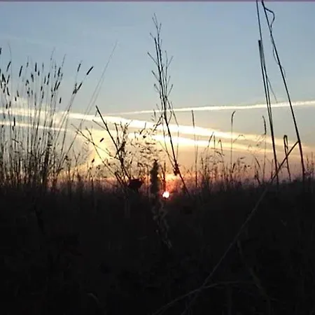 롯지 Eva Chrastava