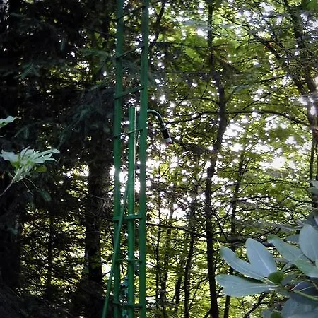 롯지 Eva Chrastava