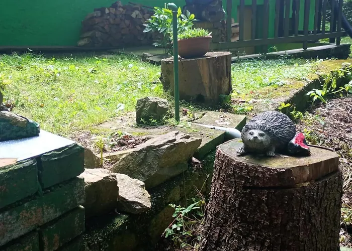 Lodge Eva